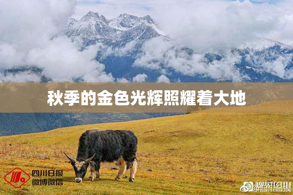 秋季的金色光辉照耀着大地