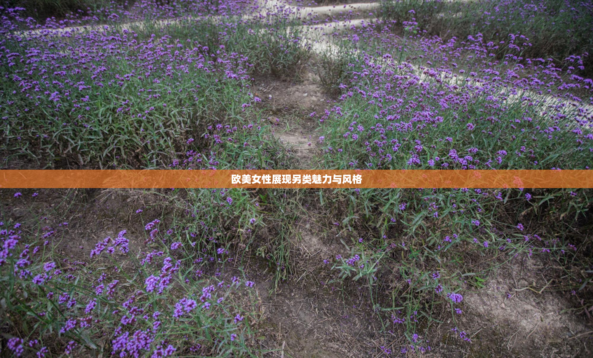 欧美女性展现另类魅力与风格