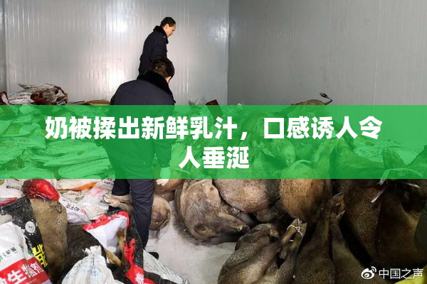 奶被揉出新鲜乳汁，口感诱人令人垂涎