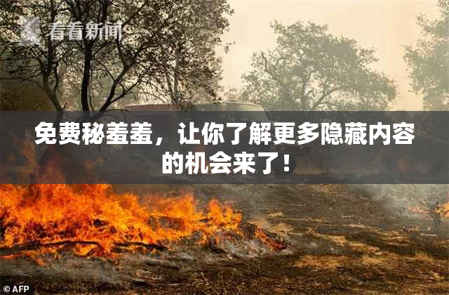 免费秘羞羞，让你了解更多隐藏内容的机会来了！