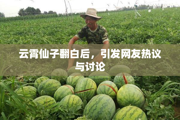 云霄仙子翻白后，引发网友热议与讨论