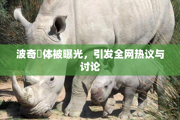 波奇祼体被曝光，引发全网热议与讨论
