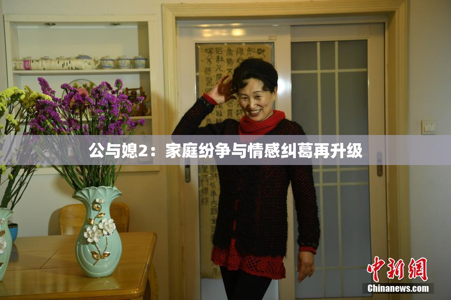 公与媳2：家庭纷争与情感纠葛再升级