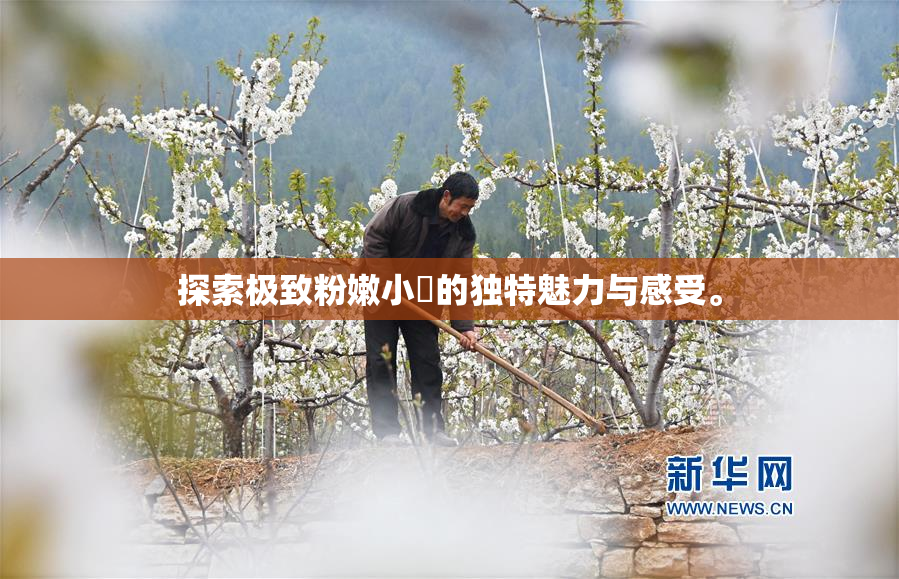 探索极致粉嫩小泬的独特魅力与感受。
