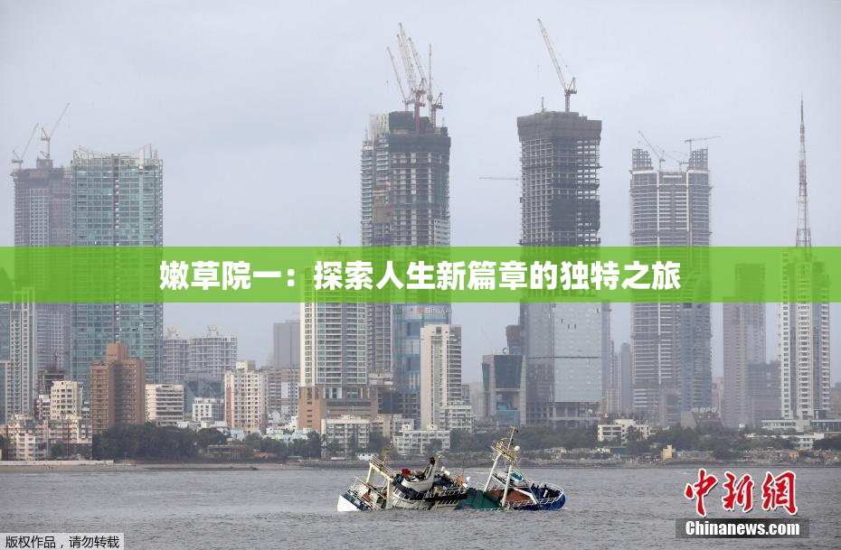 嫩草院一：探索人生新篇章的独特之旅