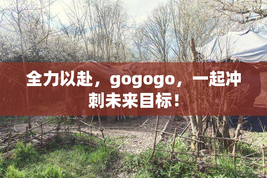 全力以赴，gogogo，一起冲刺未来目标！