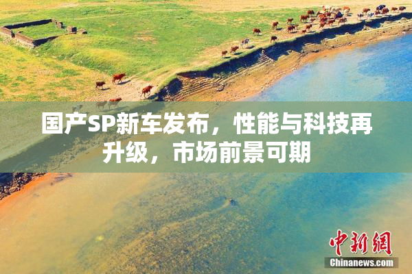国产SP新车发布，性能与科技再升级，市场前景可期