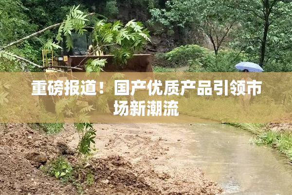 重磅报道！国产优质产品引领市场新潮流