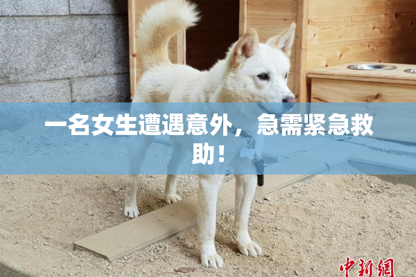 一名女生遭遇意外，急需紧急救助！