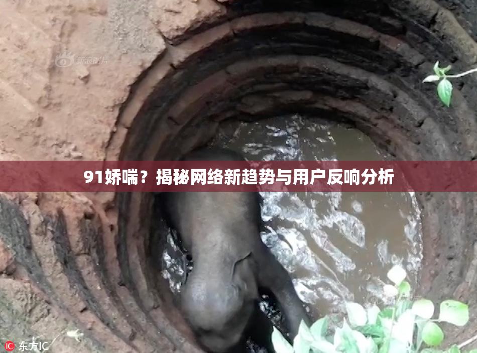 91娇喘？揭秘网络新趋势与用户反响分析