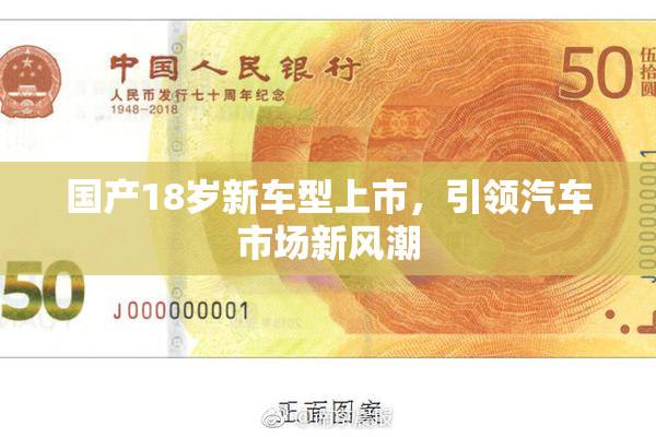 国产18岁新车型上市，引领汽车市场新风潮