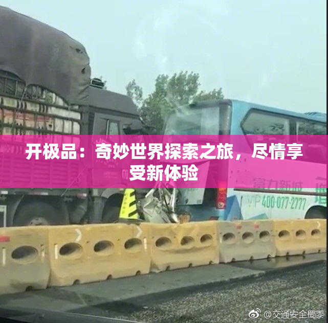 开极品：奇妙世界探索之旅，尽情享受新体验