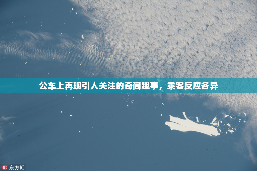 公车上再现引人关注的奇闻趣事，乘客反应各异