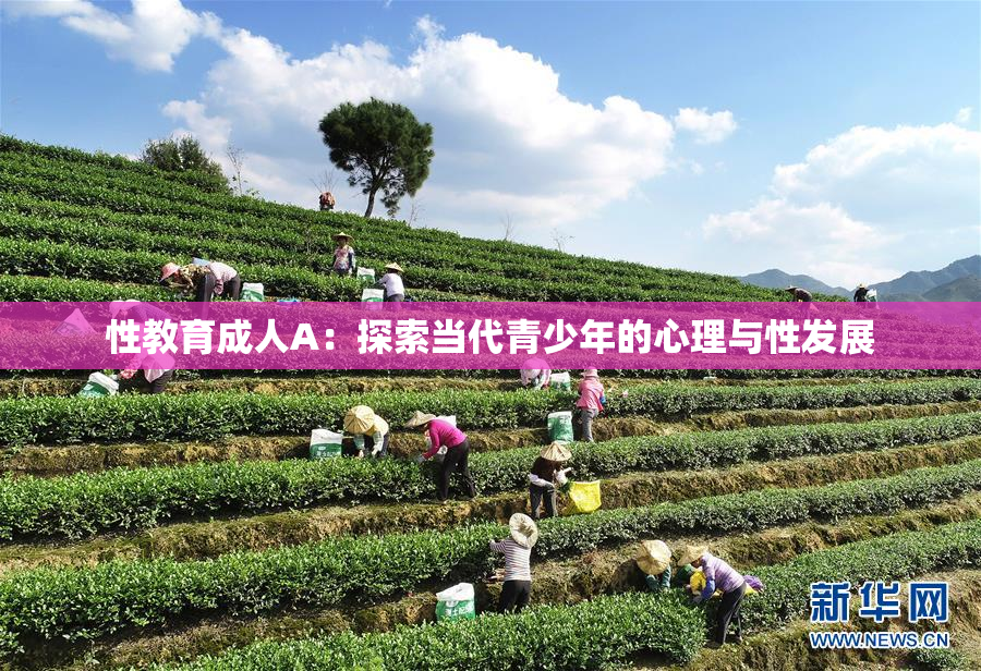 性教育成人A：探索当代青少年的心理与性发展