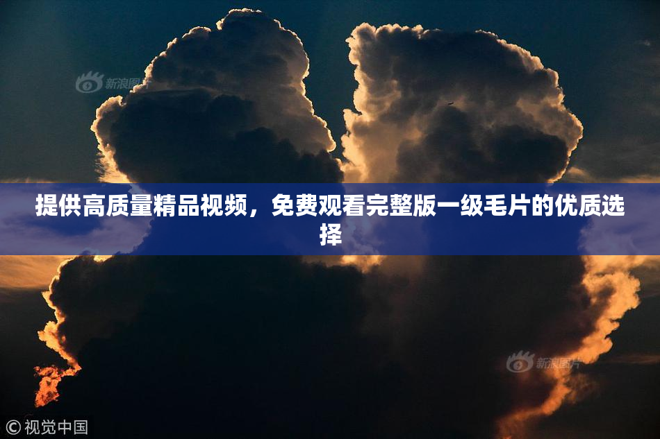 提供高质量精品视频，免费观看完整版一级毛片的优质选择