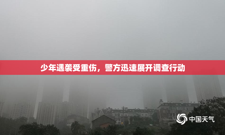 少年遇袭受重伤，警方迅速展开调查行动