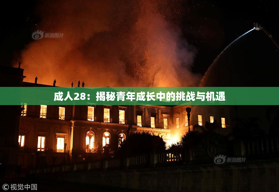 成人28：揭秘青年成长中的挑战与机遇