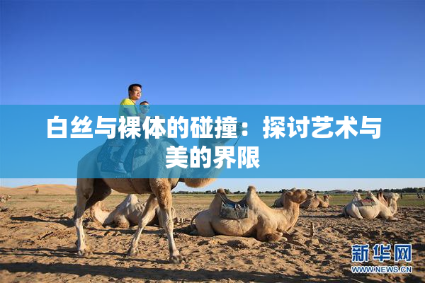 白丝与裸体的碰撞：探讨艺术与美的界限