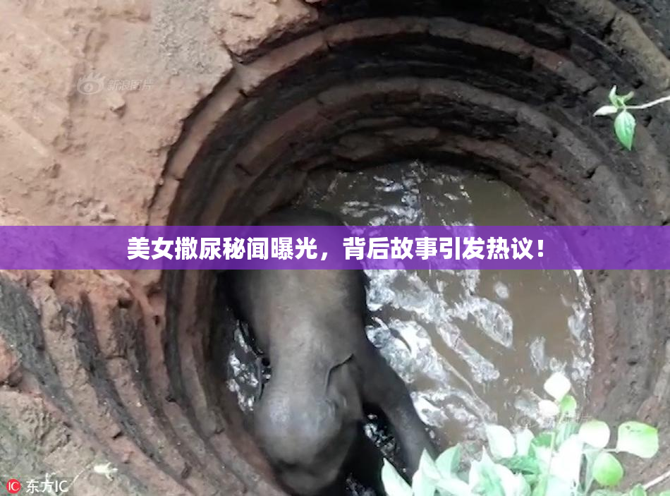 美女撒尿秘闻曝光，背后故事引发热议！