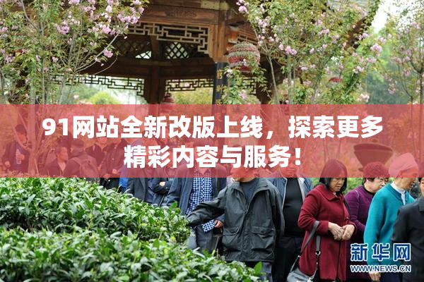 91网站全新改版上线，探索更多精彩内容与服务！