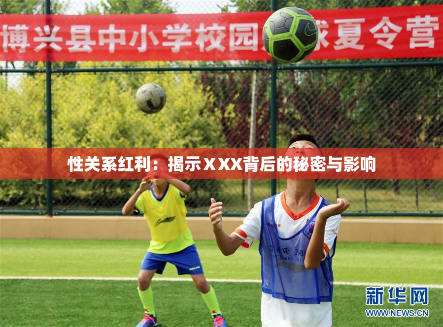 性关系红利：揭示ⅩXX背后的秘密与影响