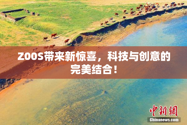 Z00S带来新惊喜，科技与创意的完美结合！