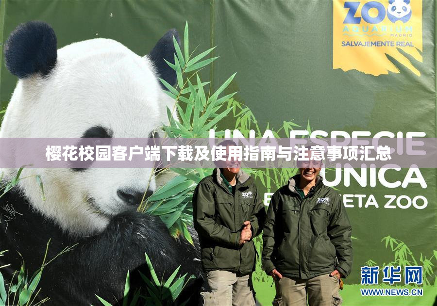樱花校园客户端下载及使用指南与注意事项汇总