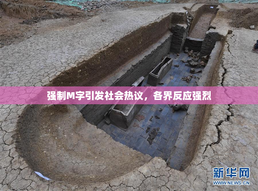 强制M字引发社会热议，各界反应强烈