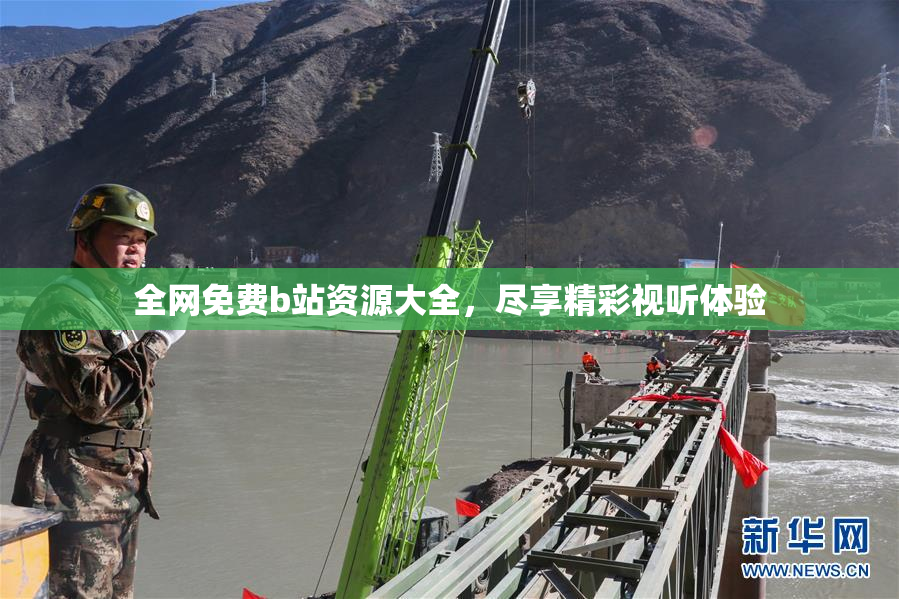 全网免费b站资源大全，尽享精彩视听体验