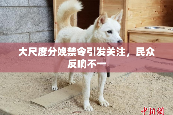 大尺度分娩禁令引发关注，民众反响不一
