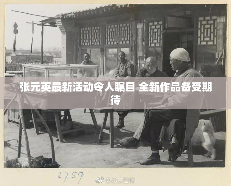 张元英最新活动令人瞩目 全新作品备受期待