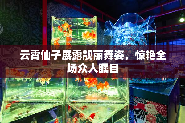 云霄仙子展露靓丽舞姿，惊艳全场众人瞩目