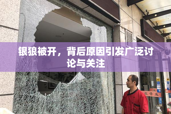 银狼被开，背后原因引发广泛讨论与关注