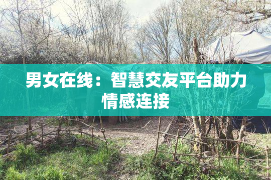 男女在线：智慧交友平台助力情感连接