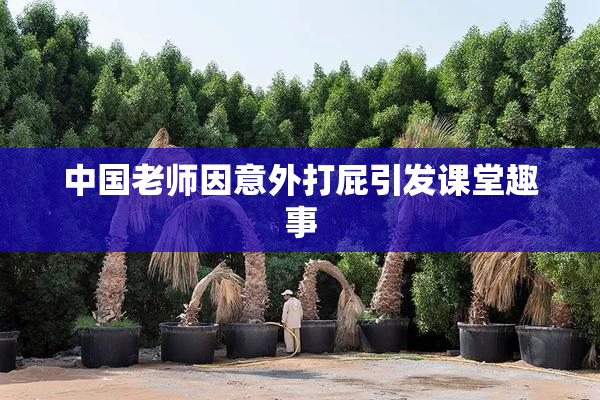中国老师因意外打屁引发课堂趣事