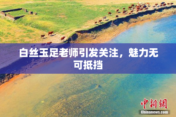 白丝玉足老师引发关注，魅力无可抵挡