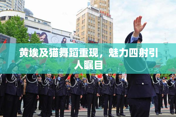 黄埃及猫舞蹈重现，魅力四射引人瞩目