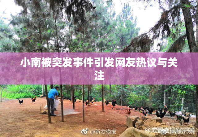 小南被突发事件引发网友热议与关注