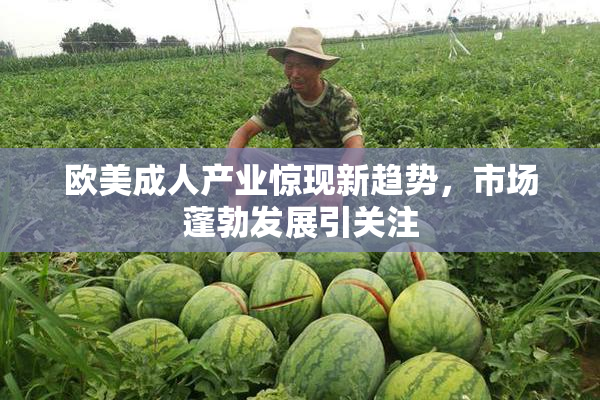 欧美成人产业惊现新趋势，市场蓬勃发展引关注