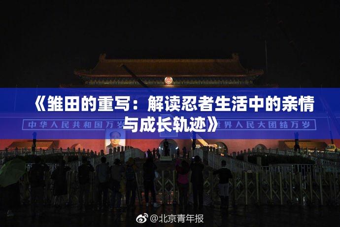 《雏田的重写：解读忍者生活中的亲情与成长轨迹》
