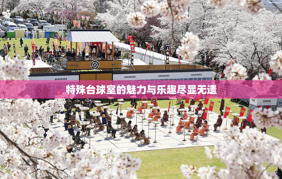 特殊台球室的魅力与乐趣尽显无遗