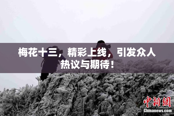 梅花十三，精彩上线，引发众人热议与期待！