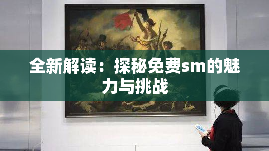 全新解读：探秘免费sm的魅力与挑战