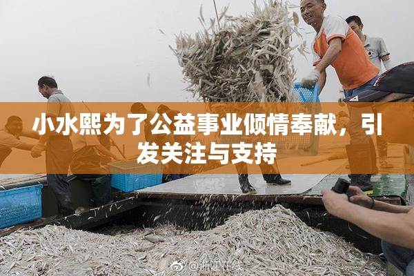 小水熙为了公益事业倾情奉献，引发关注与支持