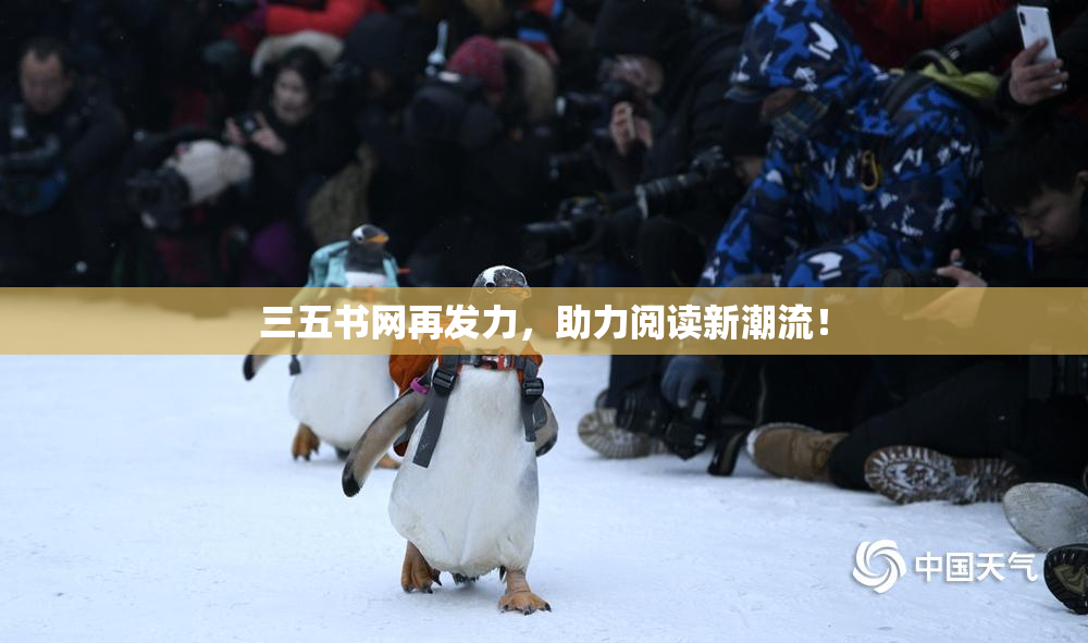 三五书网再发力，助力阅读新潮流！