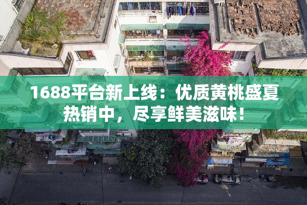 1688平台新上线：优质黄桃盛夏热销中，尽享鲜美滋味！