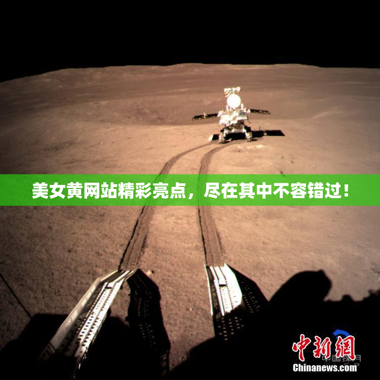 美女黄网站精彩亮点，尽在其中不容错过！