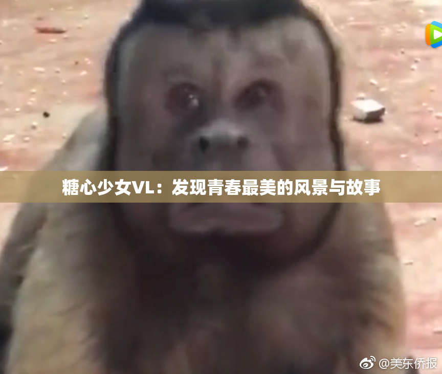 糖心少女VL：发现青春最美的风景与故事