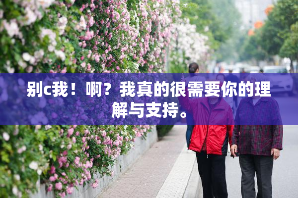 别c我！啊？我真的很需要你的理解与支持。