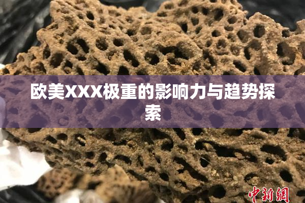 欧美XXX极重的影响力与趋势探索